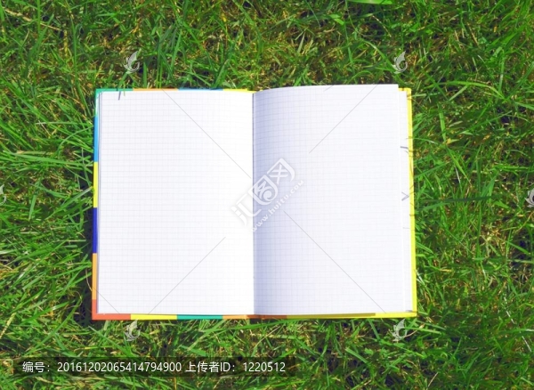 在草地上打開(kāi)書(shū)