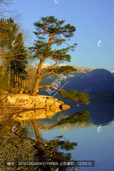 高山湖泊