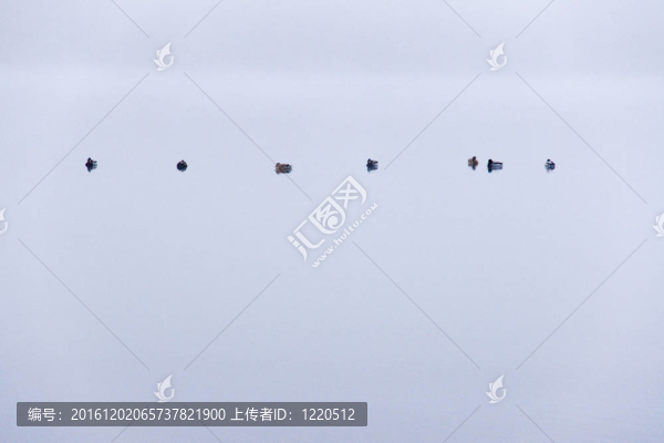 黑森林里有霧的早晨