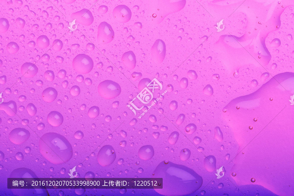 紫色背景上的水滴