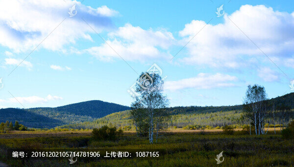 濕地風光