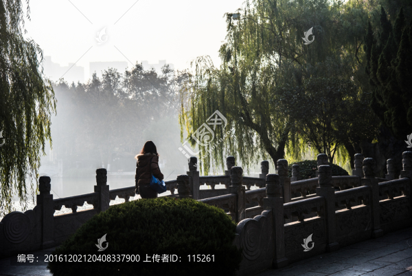 小橋晨曦