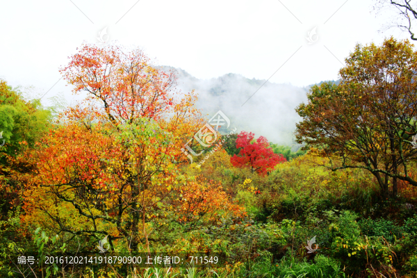 塔川風(fēng)光