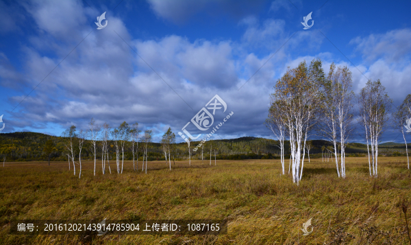 濕地風(fēng)光