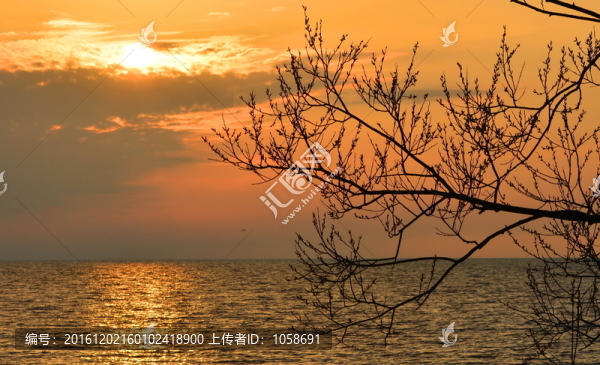 夕陽