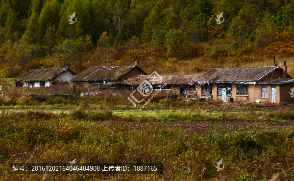 大山里的人家