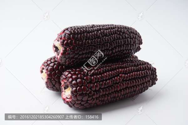 黑紅玉米