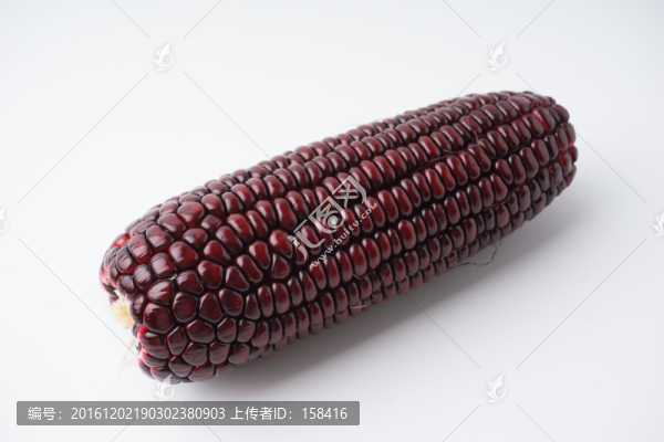 黑紅玉米