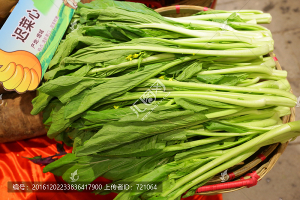 遲菜心,蔬菜
