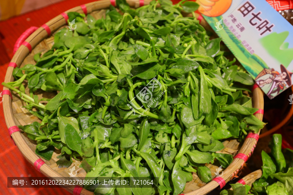 田七葉,蔬菜,田七菜