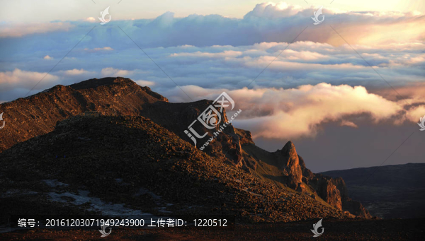FirstLight的日子