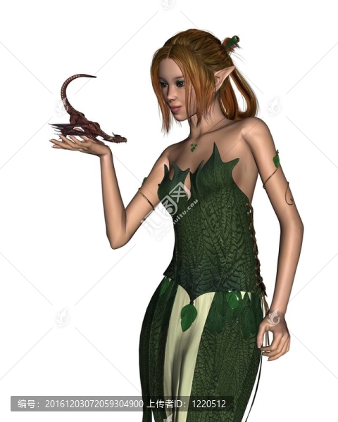 精靈女人與Pet,Dragon