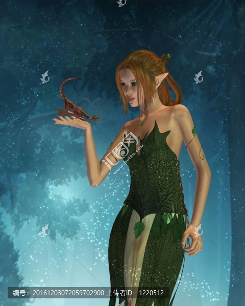 精靈女人與Pet,Dragon