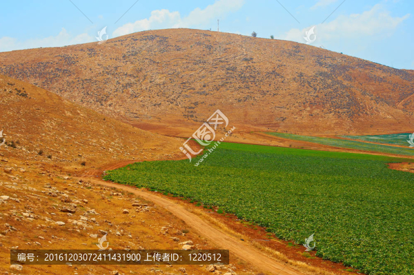 Samaria群山