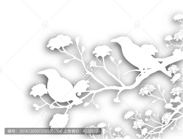 野生鳥類剪影