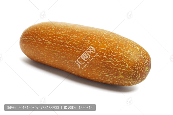 老棕色成熟黃瓜