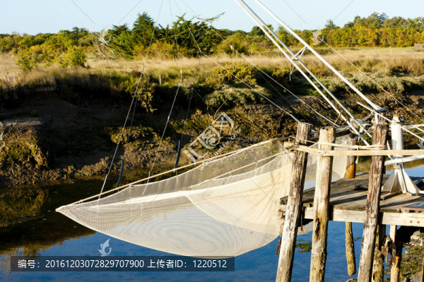 漁網(wǎng)；奧列隆島；Poitou,Charentes；法國(guó)