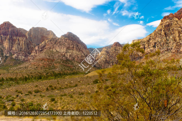 Desert與距離的綠色磨砂刷在與距離的距離在