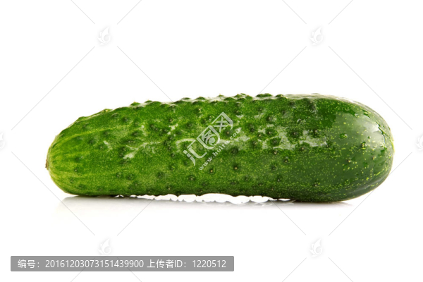 白底鮮綠黃瓜