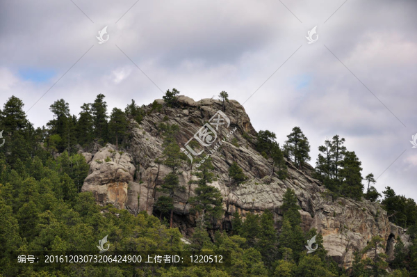 山地森林