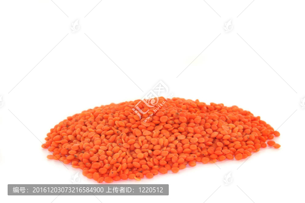 紅扁豆