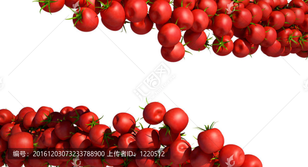 白色的美味的紅色西紅柿