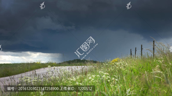 夏天的風景