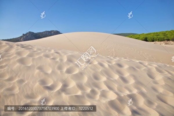 多沙丘