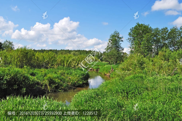 小河流鄉(xiāng)村景觀