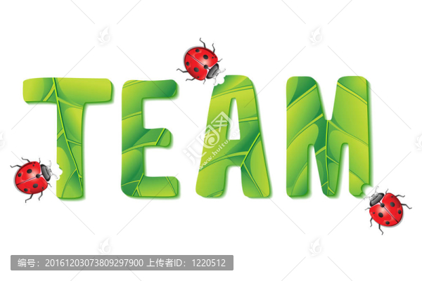 夫人錯(cuò)誤飲食團(tuán)隊(duì)