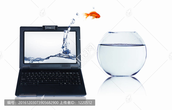 筆記本屏幕上的金魚
