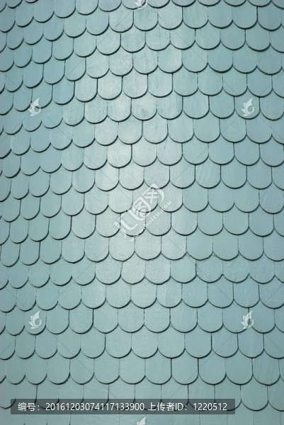 Anne,Shingling,Texture女王