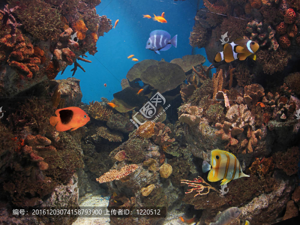 水族館