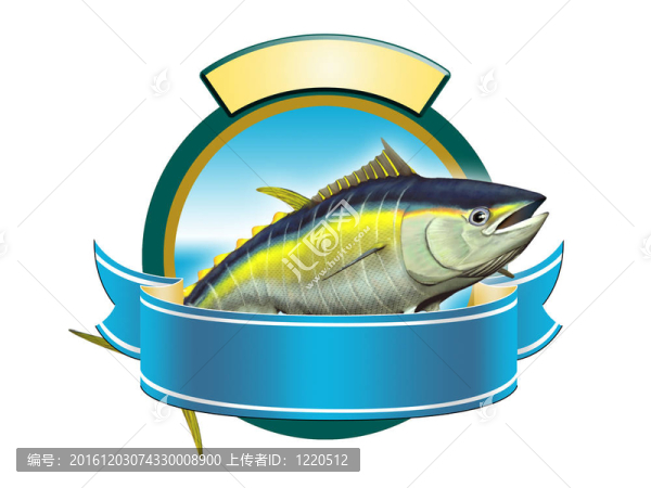 黃鰭金槍魚