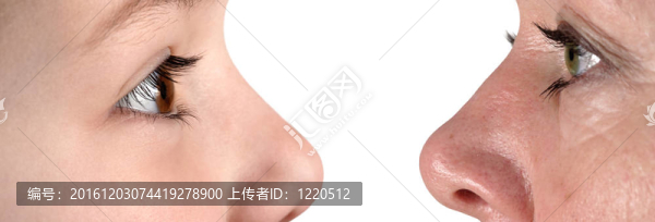 青年與老年
