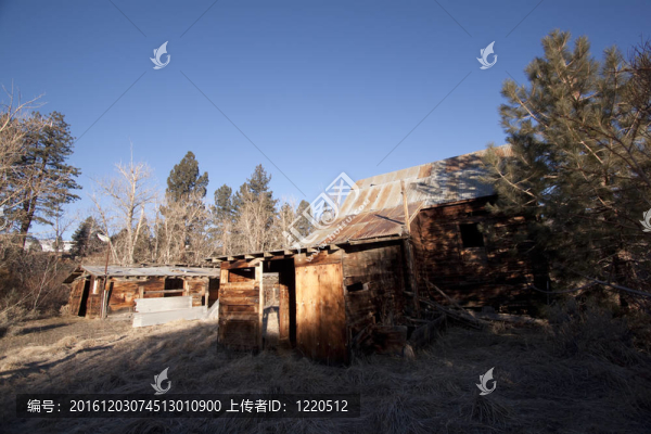 舊貨舊貨木屋森林被遺棄的可怕谷倉(cāng)