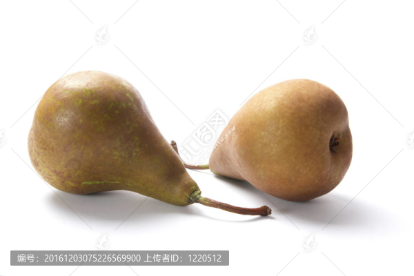 博斯克梨