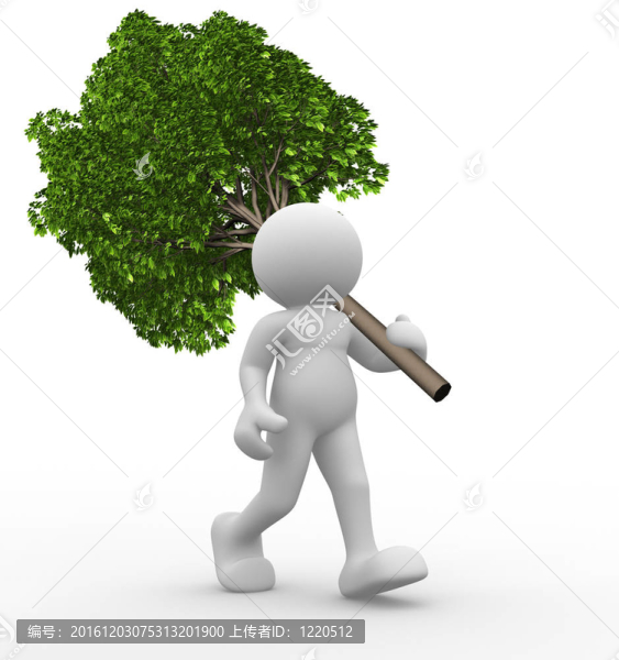 綠色的樹