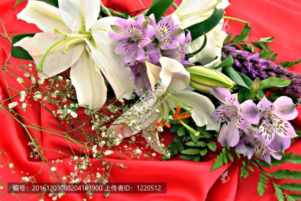 一些花