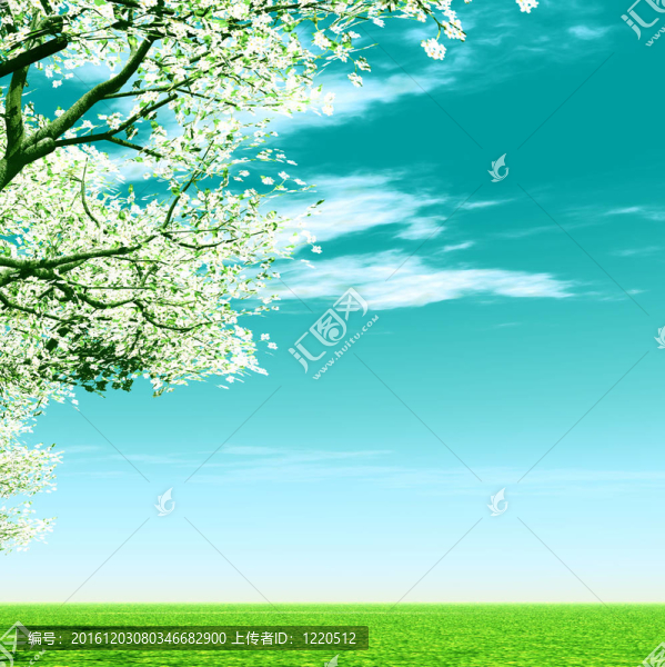 美麗的春景