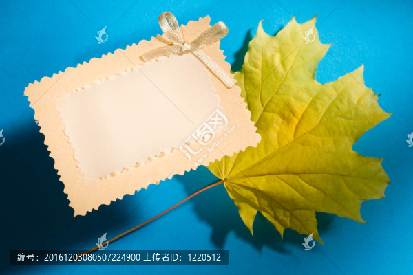 藍(lán)色背景上的葉子和卡片