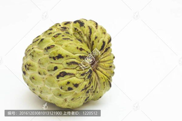 蛋奶凍蘋果