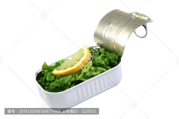 罐頭食品