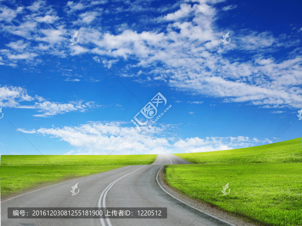 路與地平線