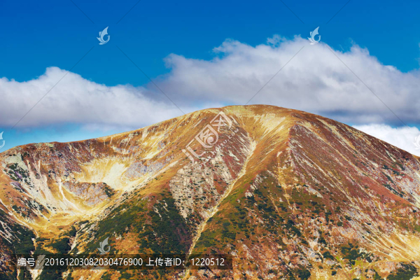 在羅馬尼亞帕朗山mohoru峰景觀