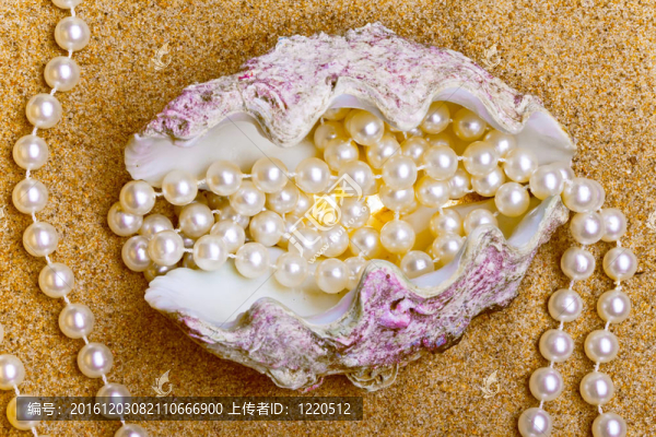 異國(guó)情調(diào)的海貝殼珍珠珠躺在沙灘上