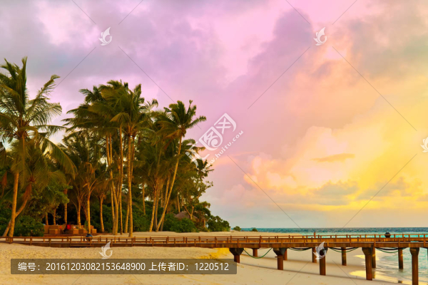 海洋中的島嶼；馬爾代夫。日落