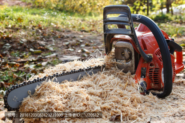 chainsaw1