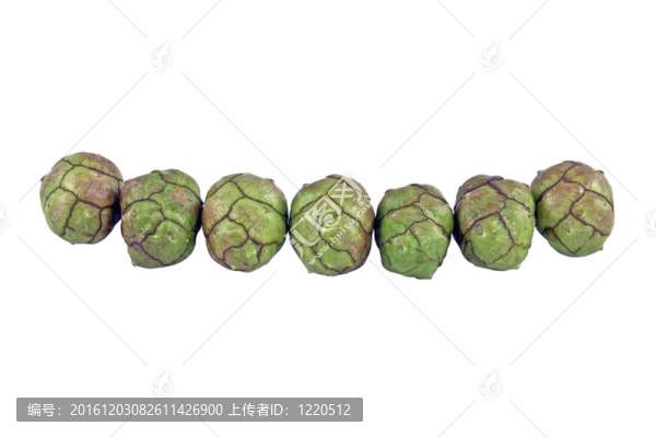 綠視錐細胞