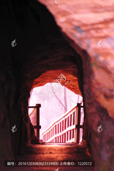 石橋-威斯康星